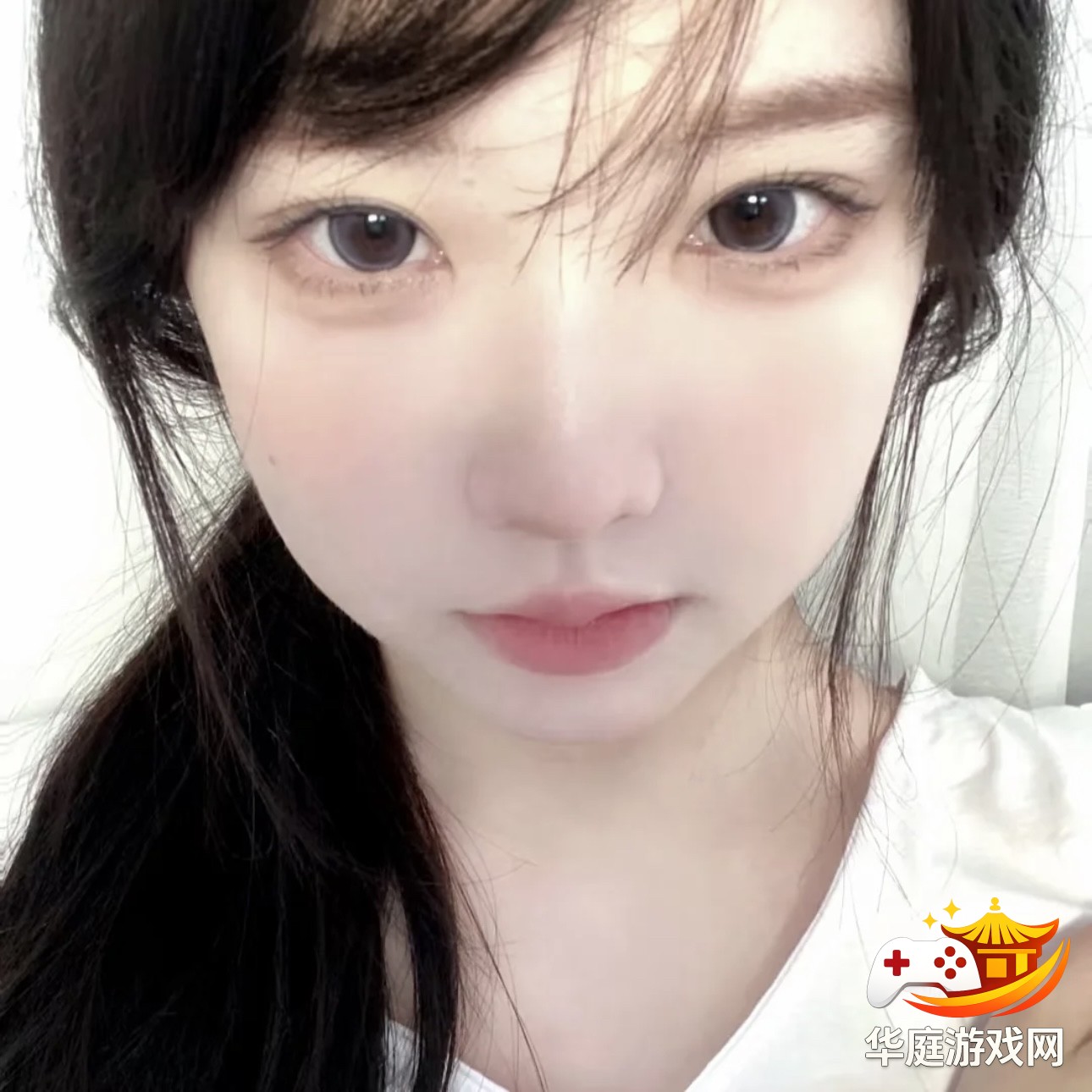 怪物猎人：世界狩猎巨型雷狼龙的详细战术与应对技巧