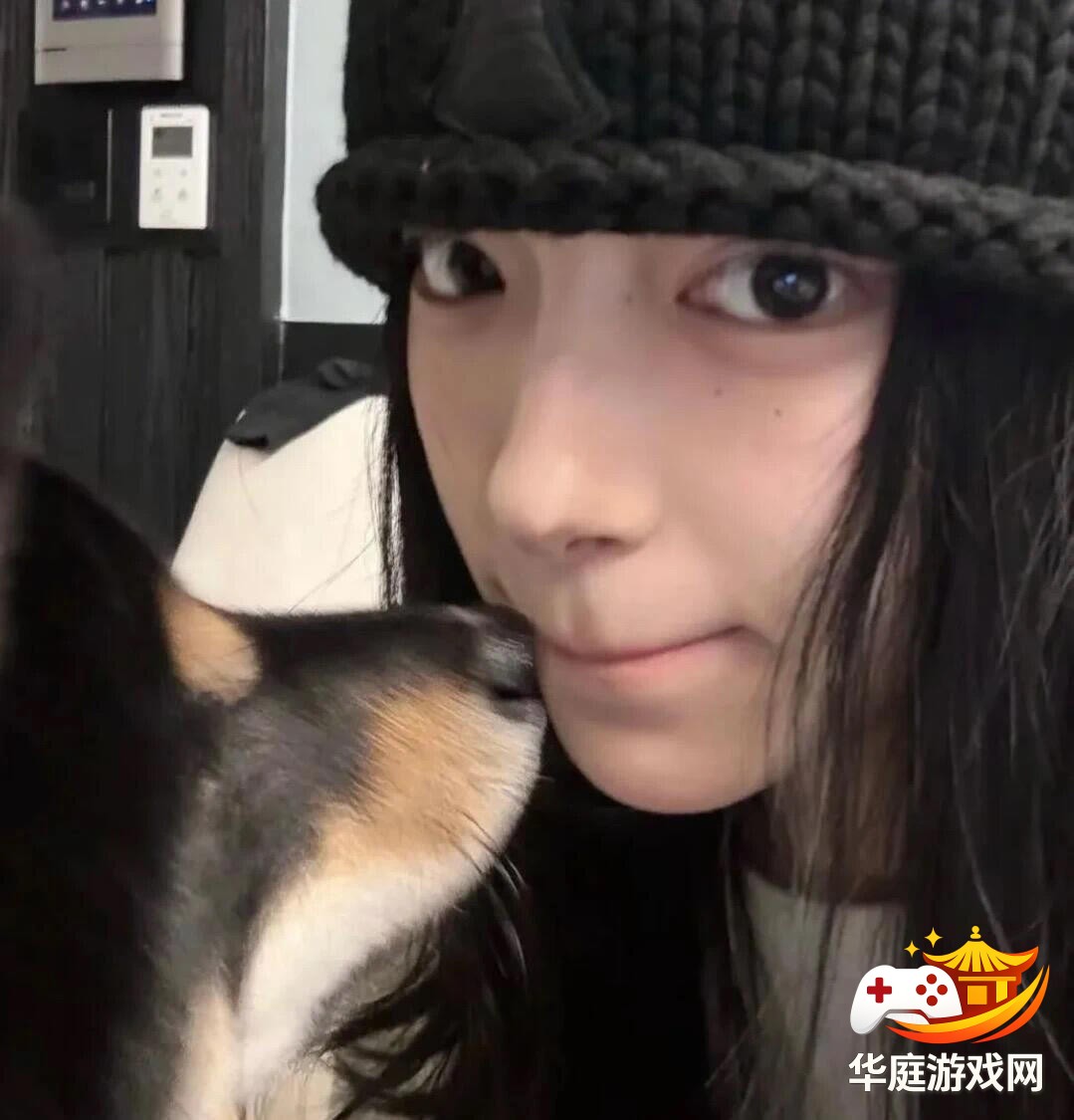 极品飞车：不羁高速赛道技巧与漂移操作细节分析