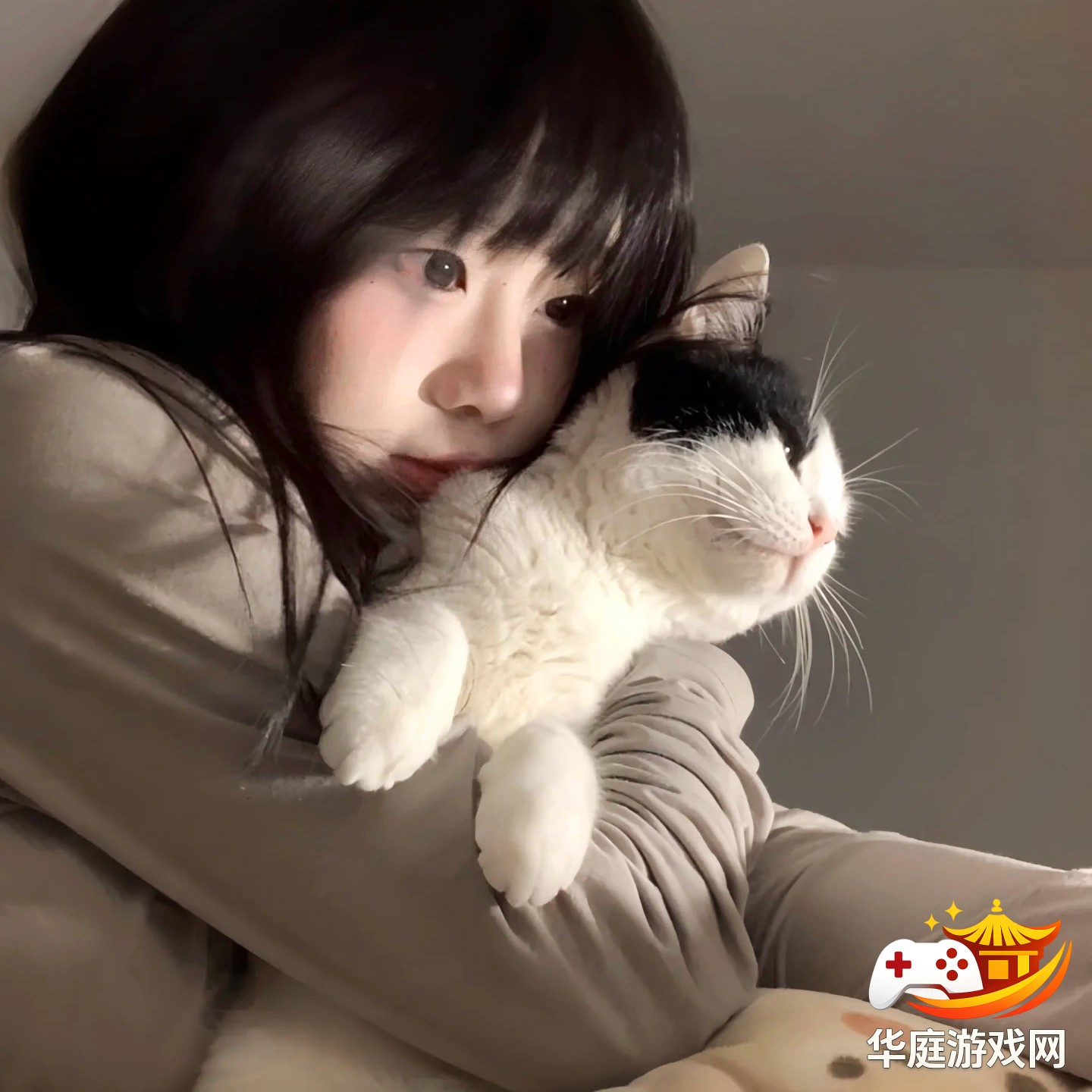 全面战争：三国中曹操势力的科技树详细攻略