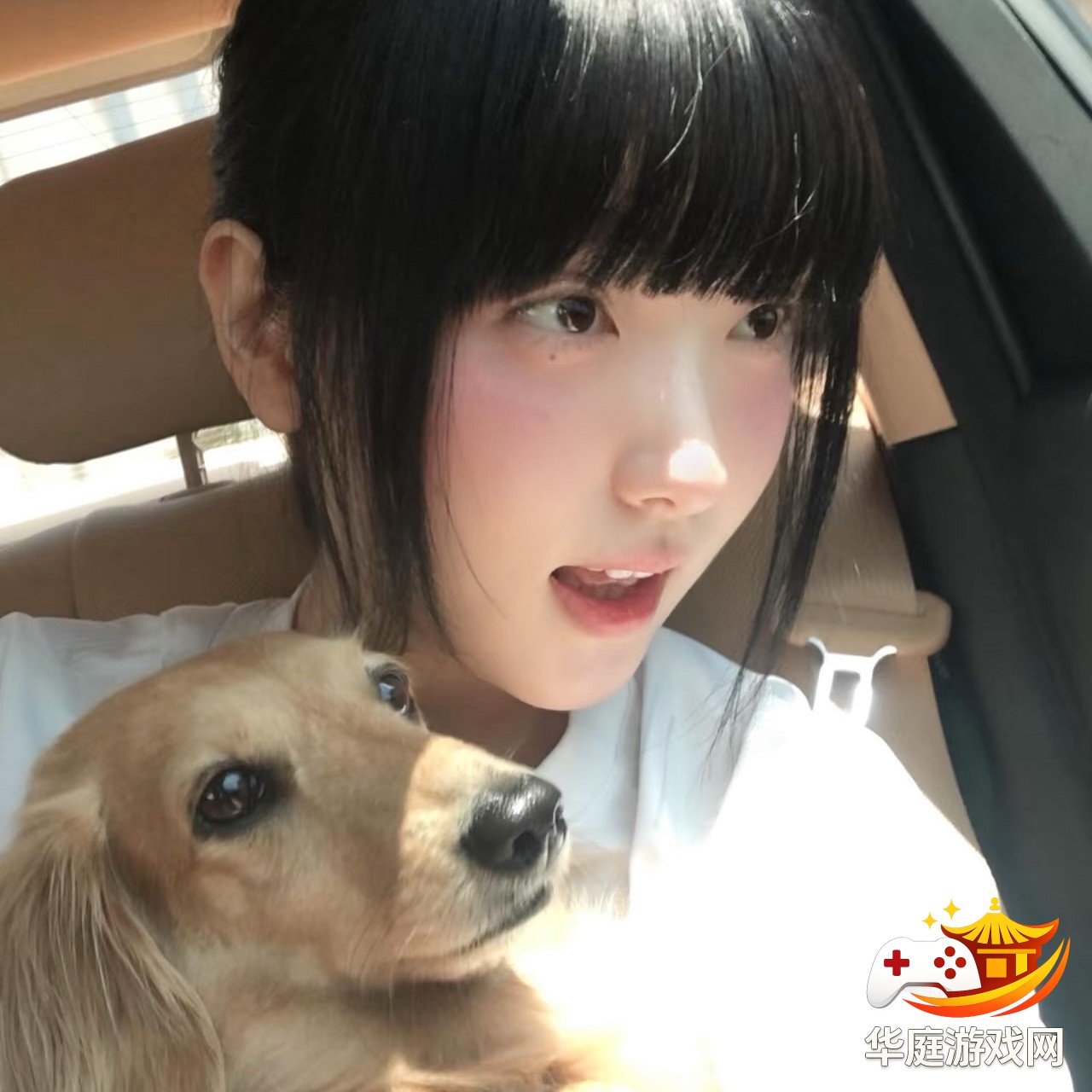 怪物猎人：荒野中大型怪物追踪与陷阱布置攻略