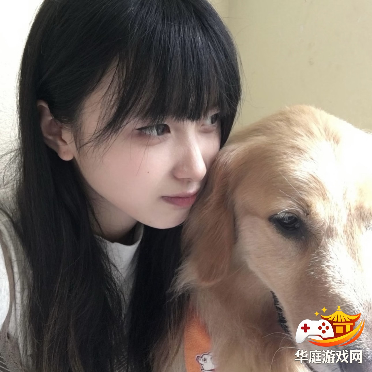 堡垒之夜高阶玩家常用的建筑布局与拆解技巧详解