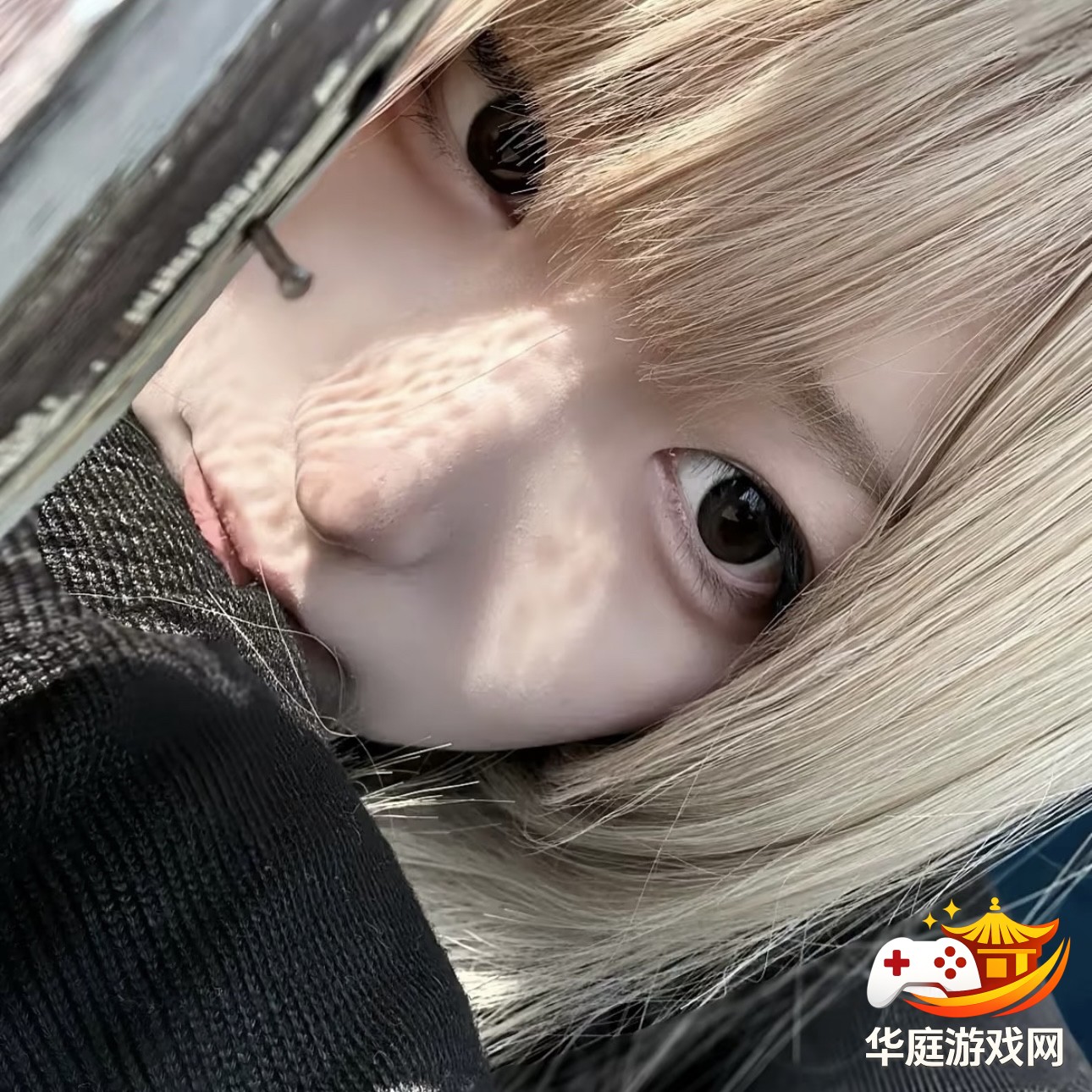 全面战争：三国中如何高效布置和利用兵种进行战役部署