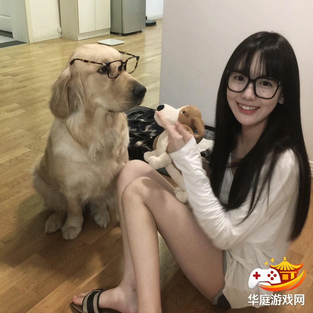 新手也能轻松搜索的Nike1688成品视频源码使用指南