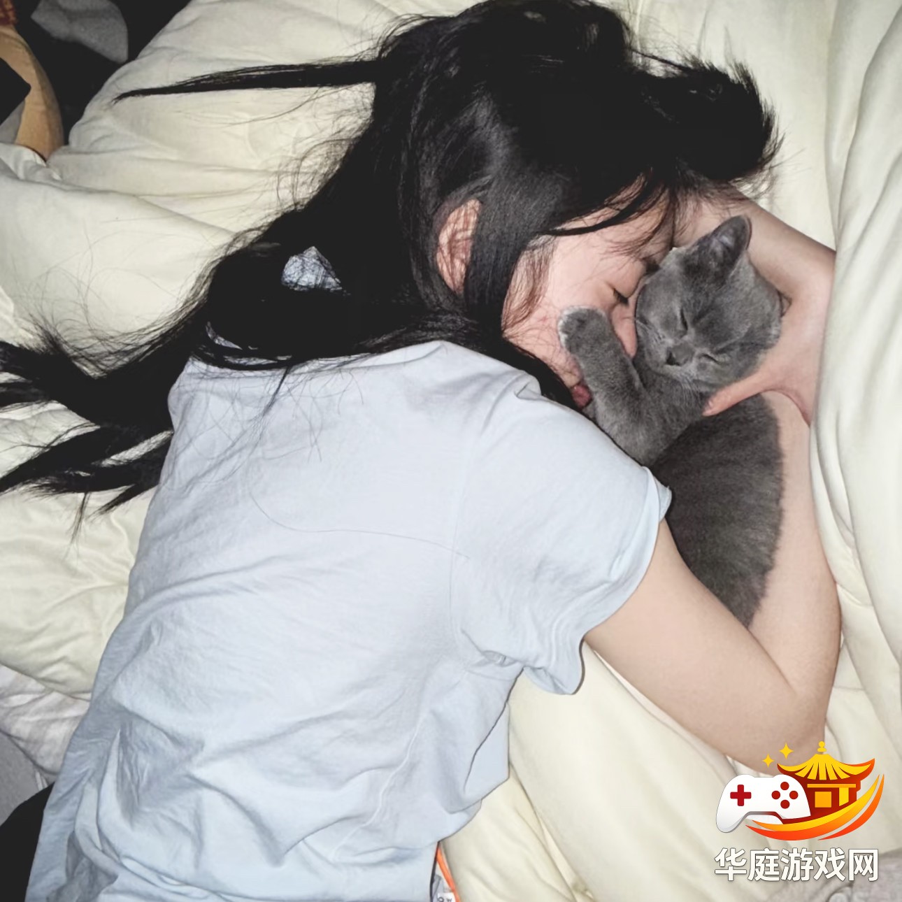 崩坏：星穹铁道中星轨系统的完整玩法与升级技巧