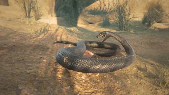 NS2迎来开放世界生存冒险大作《小小世界：原野求生》！2026年春发售