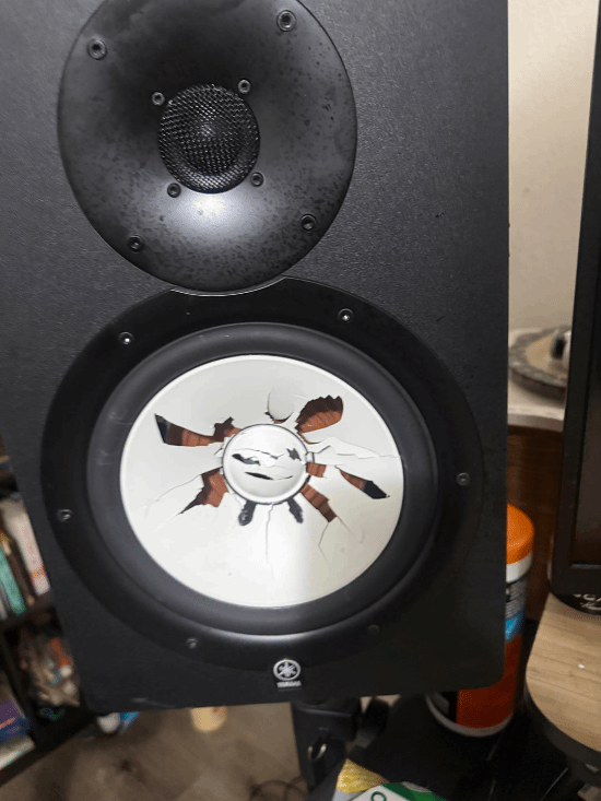 明知伴侣精神疾病仍要结婚 外网老哥电脑遭暴砸