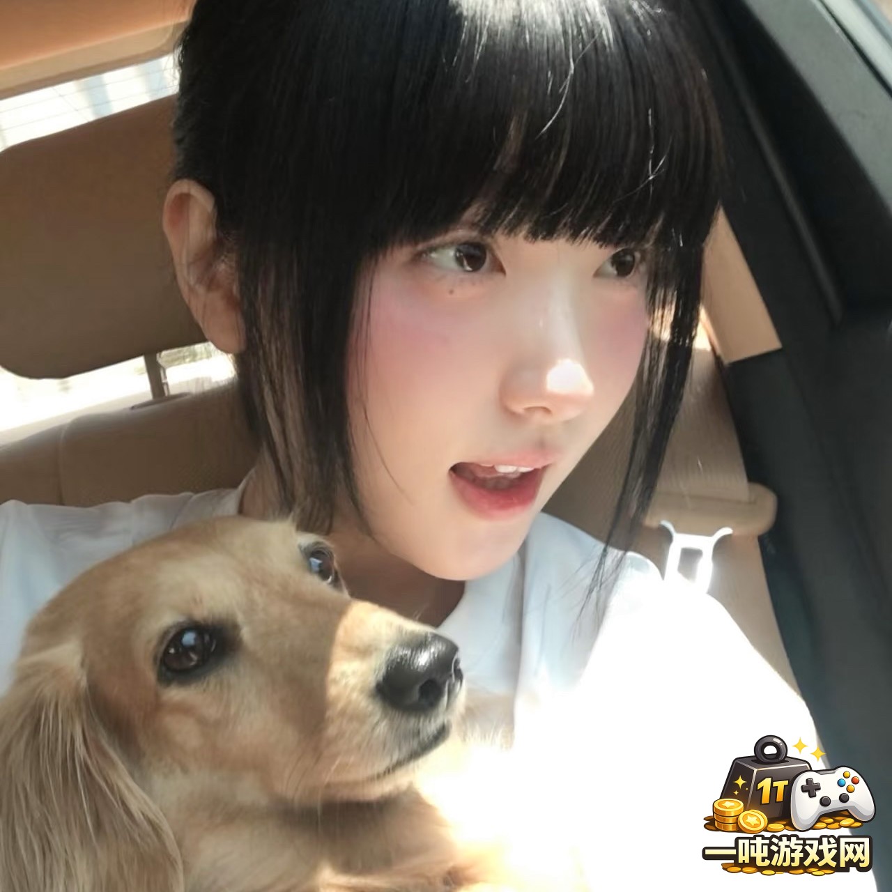 海岛奇兵中沙漠突袭副本的高效打法与策略分析