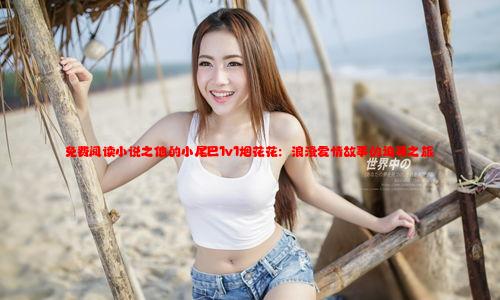 免费阅读小说之他的小尾巴1v1烟花花：浪漫爱情故事的追寻之旅